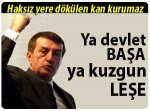 eklenti.jpg