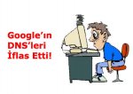 dns1261264316.jpg