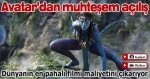 avatarmaliyetman.jpg