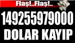 dolar.jpg