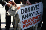 fft28.GIF