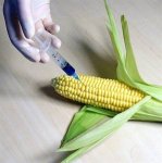GMO-ve-GDO-%C3%9Cr%C3%BCnler.widec.jpg