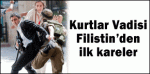 11349127.gif