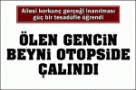 11708538.gif