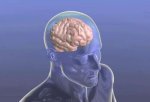 alzheimer-ve-sizofreni-tedavisinde-cigir-acan-2984969_o.jpg