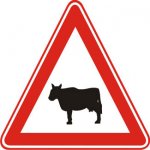 fft2mm858464.jpg