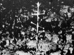 sas17.jpg
