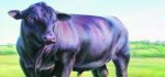 bu-angus-tan-ozur-diliyoruz-spot-0.jpg