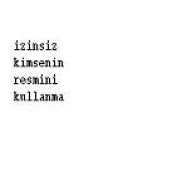 SeeleN