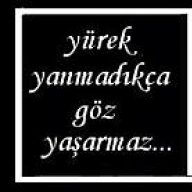 hayatkolik