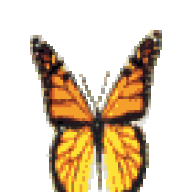 foreternit