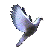 Salvation
