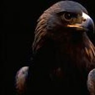 eagleata