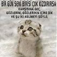 serserim4040