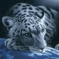 zorbey24