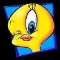 aydin
