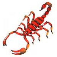 redscorp