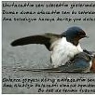 ha_te_hate
