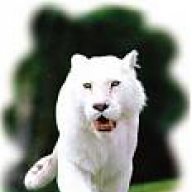 xendewan47