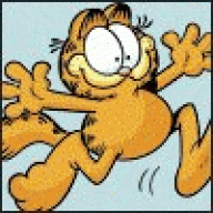 GaRF!€LD