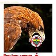 amigo06