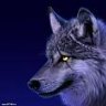 graywolf13