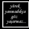 hayatkolik