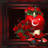 Yasinn66