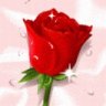 HaSret1