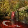 fenta_nyl2000