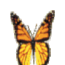 foreternit