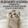 serserim4040