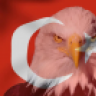 gündüz_Alp