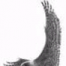 ruhicem
