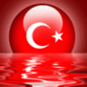 BÖRTEÇİNE_