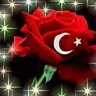 cihancan55