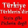 ayarrr