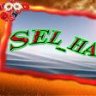 sel_hac