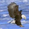 kartal677