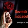 EcEm_1987