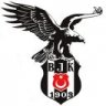 talip18