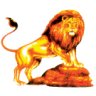 maxiaslan