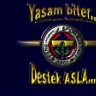 efe1978