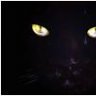 SecRetEyeS