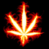 hotr1de