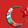 cakmak69