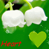 Heart_Lover
