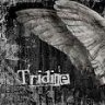 tridine