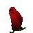 sinefro