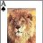 asaslan
